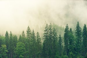分手后表达感情的句子